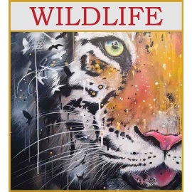 wildlife--graphic-dfa-june-2022