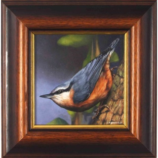 carl_whitfield_nuthatch