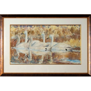 david_bennet_whooper_swan_family