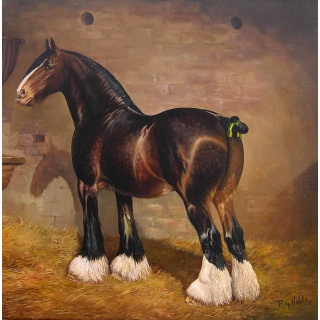 fran_noble_shire_horse