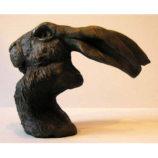 hare_head