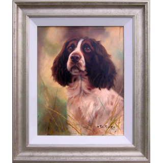 john_trickett_springer_spaniel