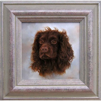 carl-whitfield_cocker_spaniel