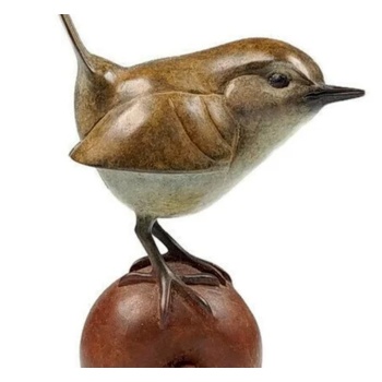 wren_on_apple_zoom