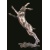 boxing_hare_fnl