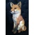 fox_640513790