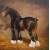 fran_noble_shire_horse