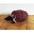 glass_hedgehog_2