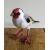 goldfinch_glass_ph1_fnl