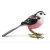 long_taled_tit_ph1_fnl_1077194771