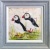roz_bell_pair_of_puffins
